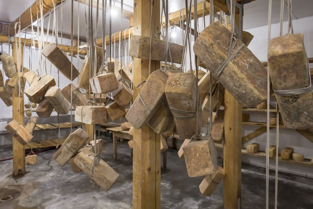 Le forme di formaggio nella sala di stagionatura